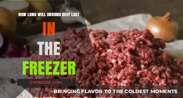 Maximizing Shelf Life: A Guide to Freezing Ground Beef