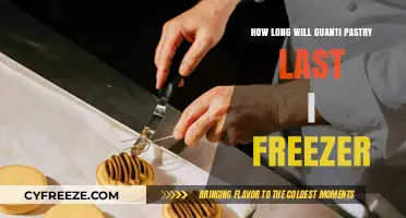 Maximizing Freshness: The Ultimate Guide to Freezing Guanti Pastry