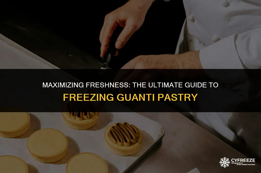 how long will guanti pastry last i freezer