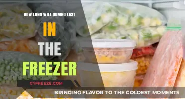 Savoring Gumbo: A Guide to Freezing and Reheating