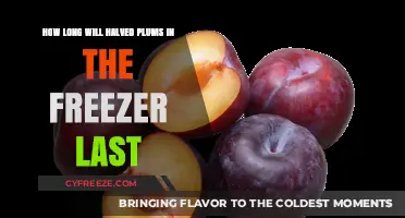 Freezing Plums: How Long Do Halved Plums Last in the Freezer?