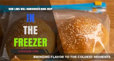 Freezing Hamburger Buns: A Guide to Longevity and Freshness