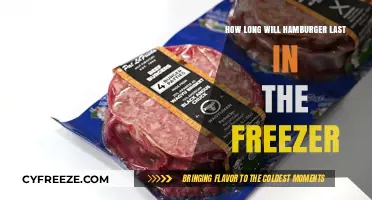 The Ultimate Guide to Freezing Hamburgers: Shelf Life and Tips