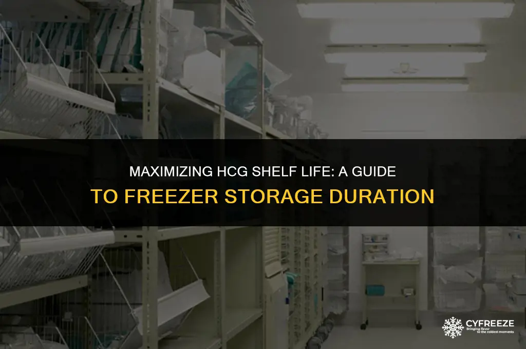 how long will hcg last in freezer