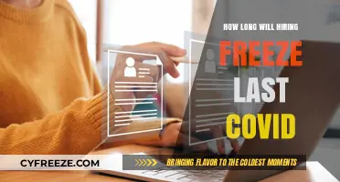 Navigating the Hiring Freeze: Insights on the Post-COVID Job Market