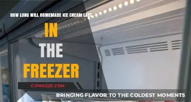 The Sweet Shelf Life: Homemade Ice Cream's Freezer Longevity