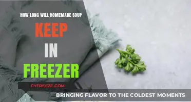 Savoring Homemade Soup: A Guide to Freezer Storage Duration