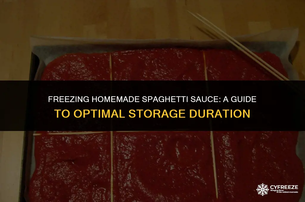 how long will homemade spaghetti sauce last in the freezer
