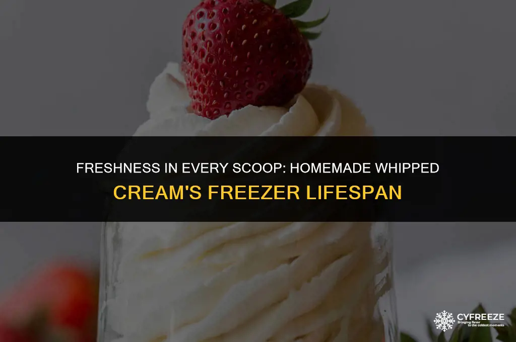 how long will homemade whipped cream keep in the freezer