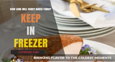 Savoring Leftovers: The Ultimate Guide to Freezing Honey Baked Turkey