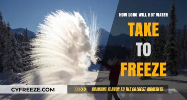 Chilling Insights: The Surprising Time Hot Water Takes to Freeze