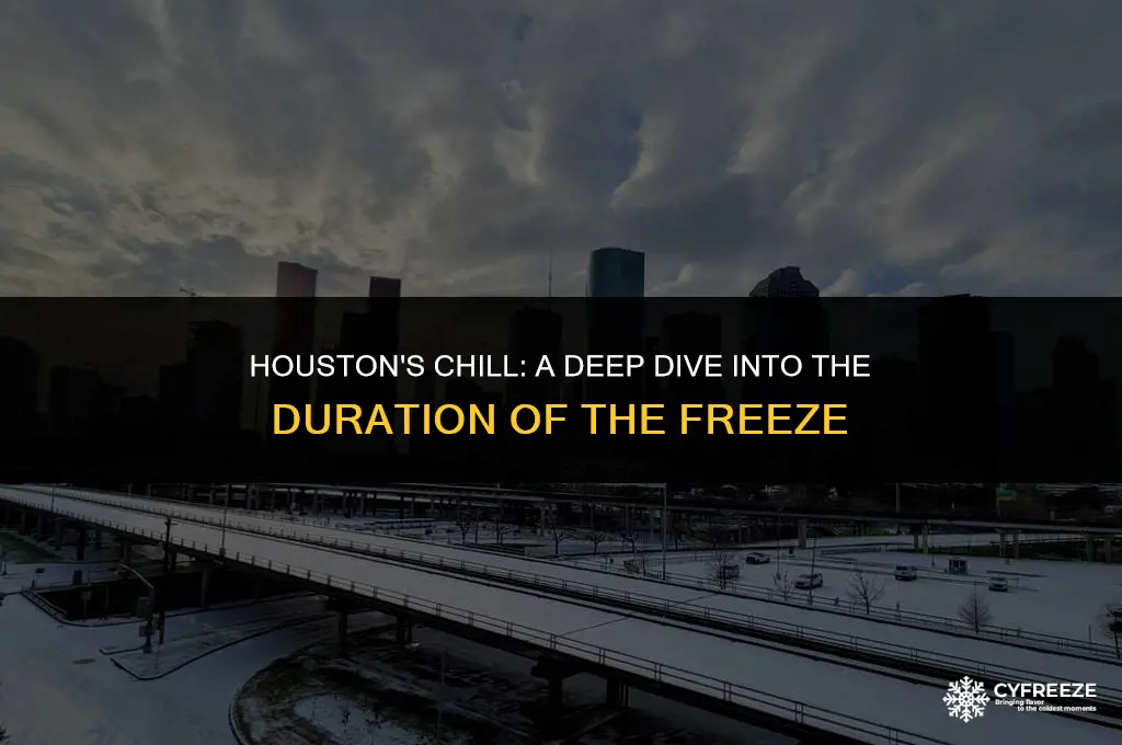 how long will houston freeze last