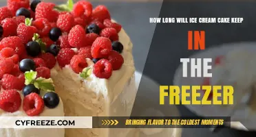 The Ultimate Guide to Ice Cream Cake Storage: Freezer Lifespan Explained