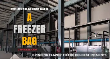 Maximizing Ice Cream Freshness: The Freezer Bag Dilemma