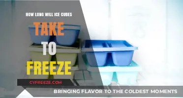 Chill Factor: The Ultimate Guide to Freezing Ice Cubes Quickly