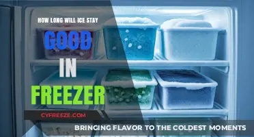 Chill Facts: The Surprising Lifespan of Ice in Your Freezer