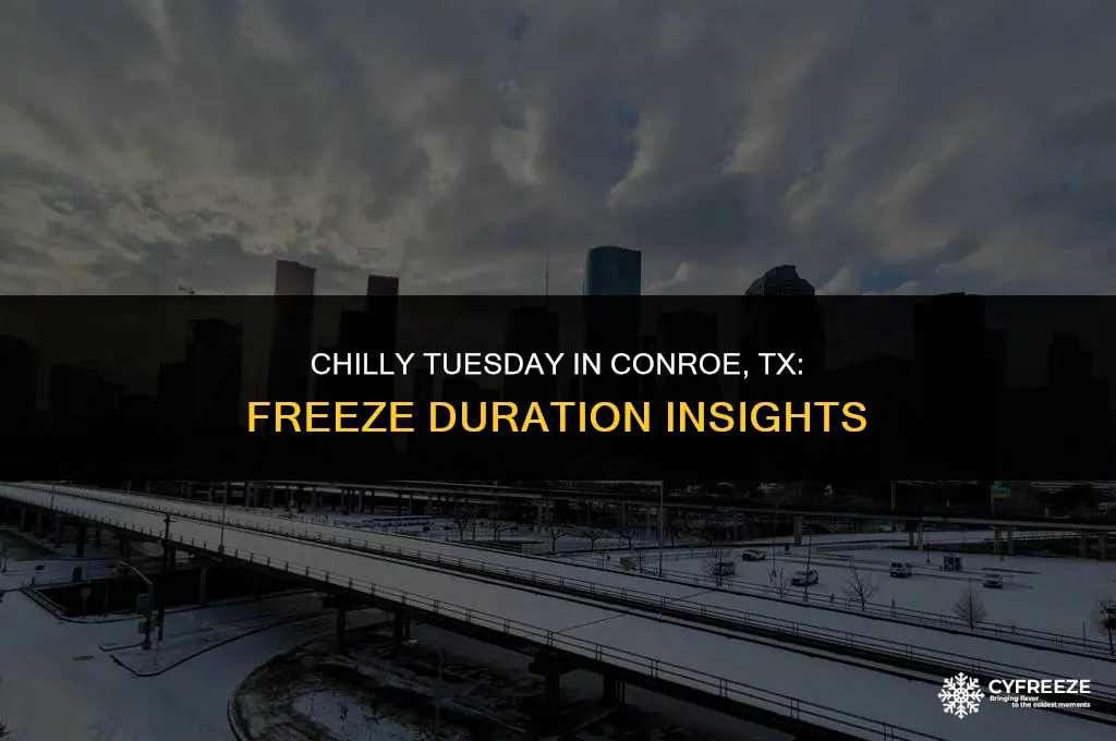 how long will it freeze tuesday in conroe tx