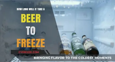 Chill Time: The Ultimate Guide to Freezing Your Beer Quickly