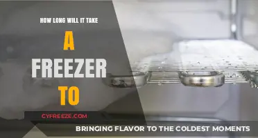 Defrosting Dilemmas: Estimating Freezer Thawing Time