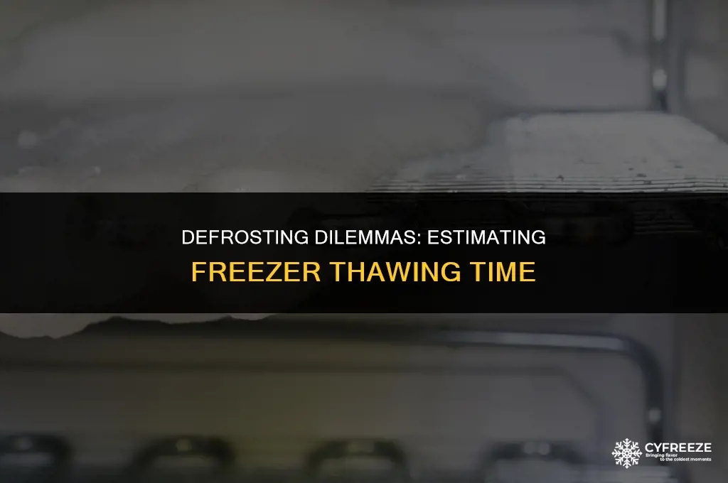 how long will it take a freezer to