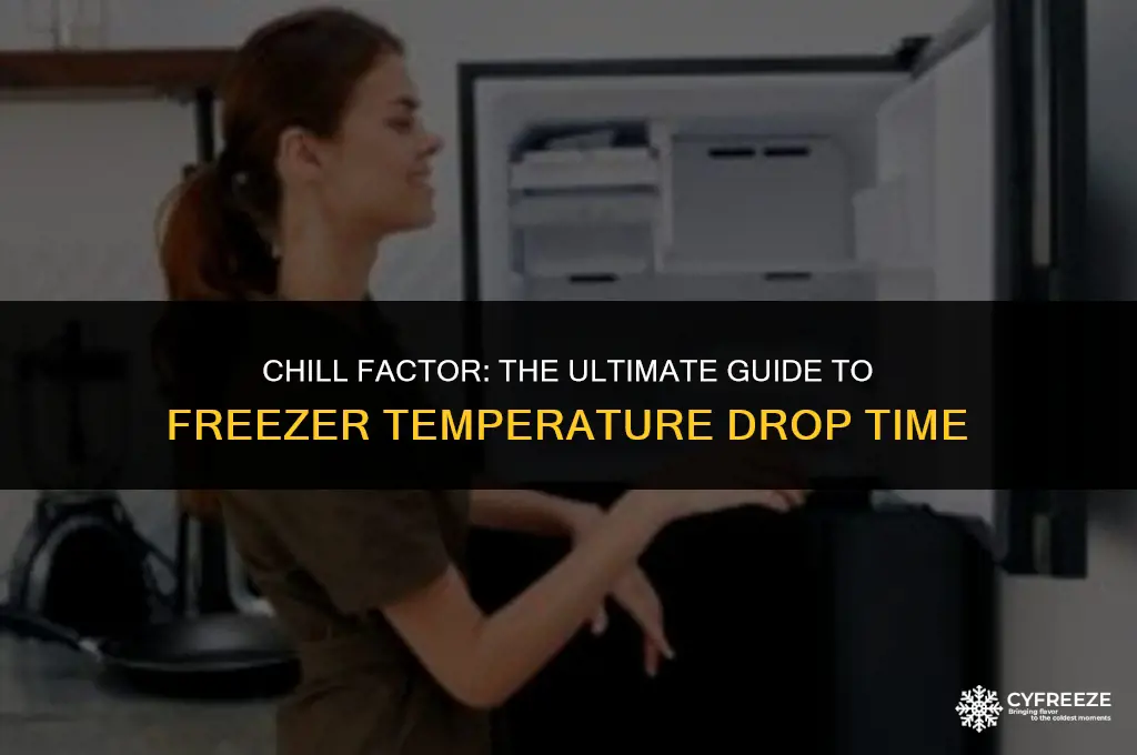 how long will it take can get cold freezer