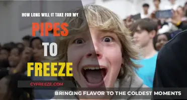 Chilling Concerns: A Guide to Preventing Pipe Freezes