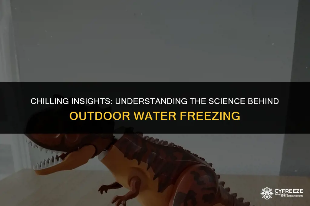 how long will it take for water to freeze outside