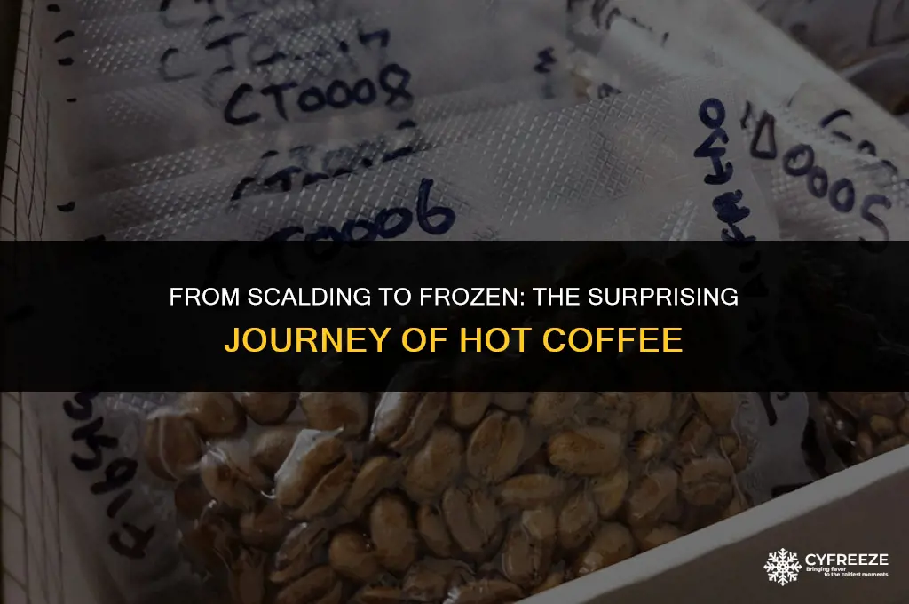 how long will it take hot coffee to freeze