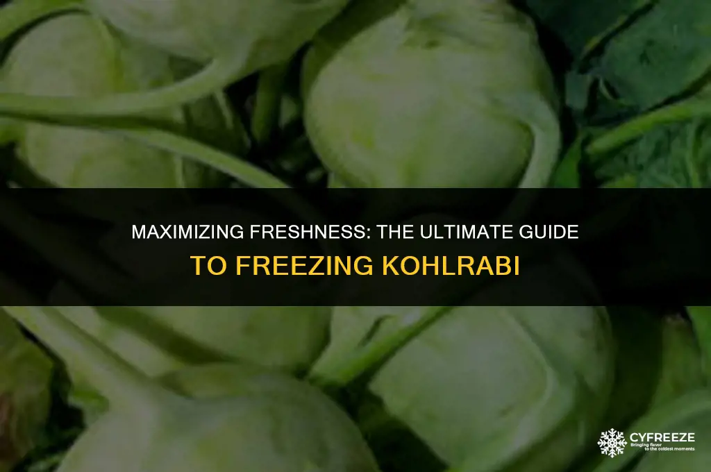 how long will kohlrabi last in the freezer
