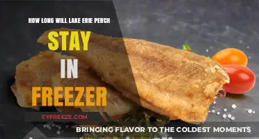 Preserving Lake Erie Perch: Optimal Freezer Storage Duration