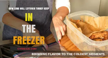 Freshness Preserved: The Ultimate Guide to Freezing Leftover Turkey