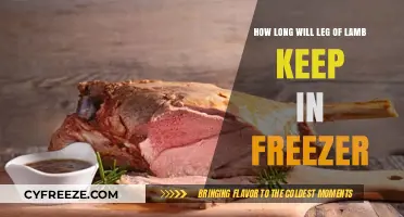 Maximizing Freshness: Optimal Freezer Storage for Leg of Lamb