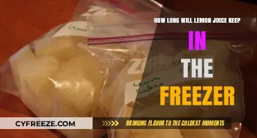 Preserving Freshness: The Ultimate Guide to Freezing Lemon Juice