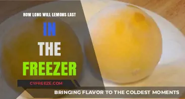 Maximizing Lemon Freshness: A Guide to Freezing Lemons
