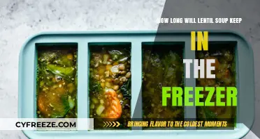 Savoring Lentil Soup: A Guide to Freezer Storage and Freshness