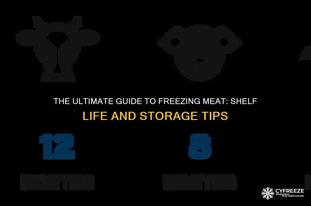 how long will meat keep in the freezer