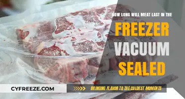 Preserving Freshness: The Ultimate Guide to Freezing Vacuum-Sealed Meat