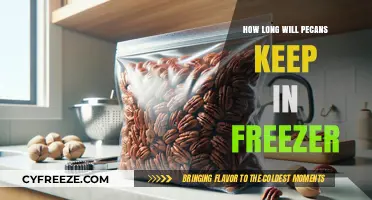 Pecan Preservation: Freezing Tips for Long-Lasting Nuts