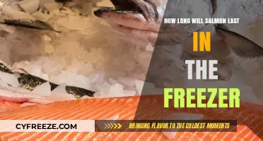 Freshness Preserved: The Ultimate Guide to Freezing Salmon