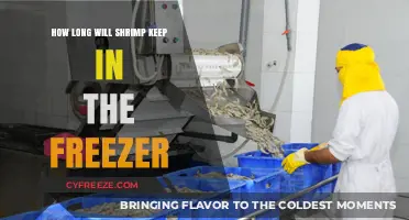 Shrimp Storage Secrets: Freezer Lifespan Explained