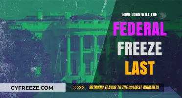 Navigating the Federal Freeze: Insights on Its Duration and Impact