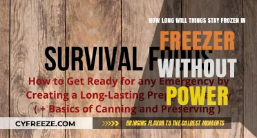 Frozen in Time: How Long Will Your Food Survive a Power Outage?