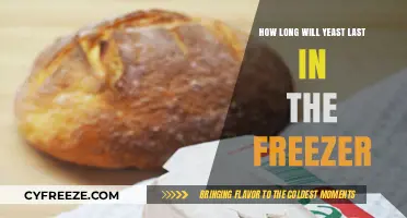 The Ultimate Guide to Freezing Yeast: Shelf Life and Storage Tips