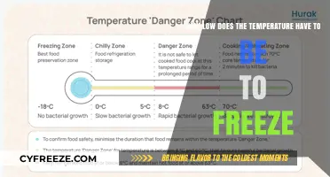 Chilling Facts: At What Temperature Does Freezing Actually Begin?