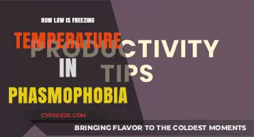 Chilling Truth: Freezing Temps in Phasmophobia Explained