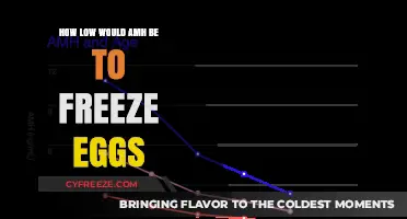 Understanding AMH Levels: When to Consider Egg Freezing for Fertility Preservation