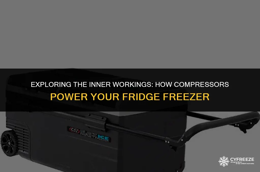 how many compressors in a fridge freezer