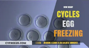 Understanding Egg Freezing Cycles: How Many Do You Really Need?