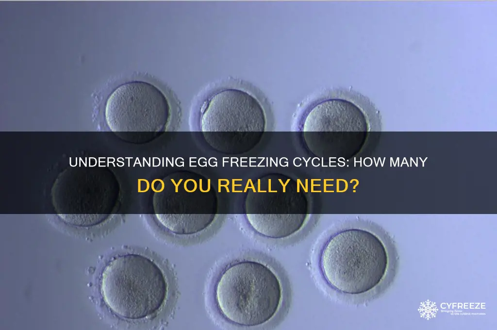 how many cycles egg freezing