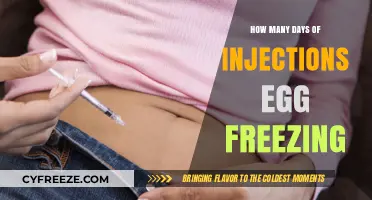 Egg Freezing Journey: Understanding the Injection Days and Process